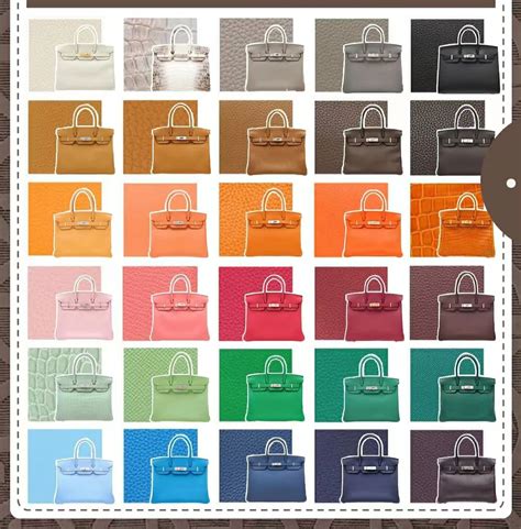 hermes birkin colors fall 2018|Hermes Birkin 30 best colours.